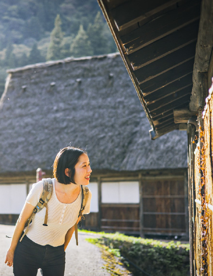 Comment profiter de Nanto