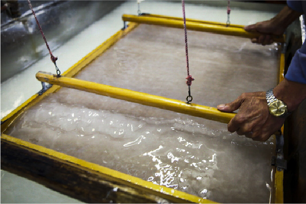 Papier Japonais “Washi” de Gokayama