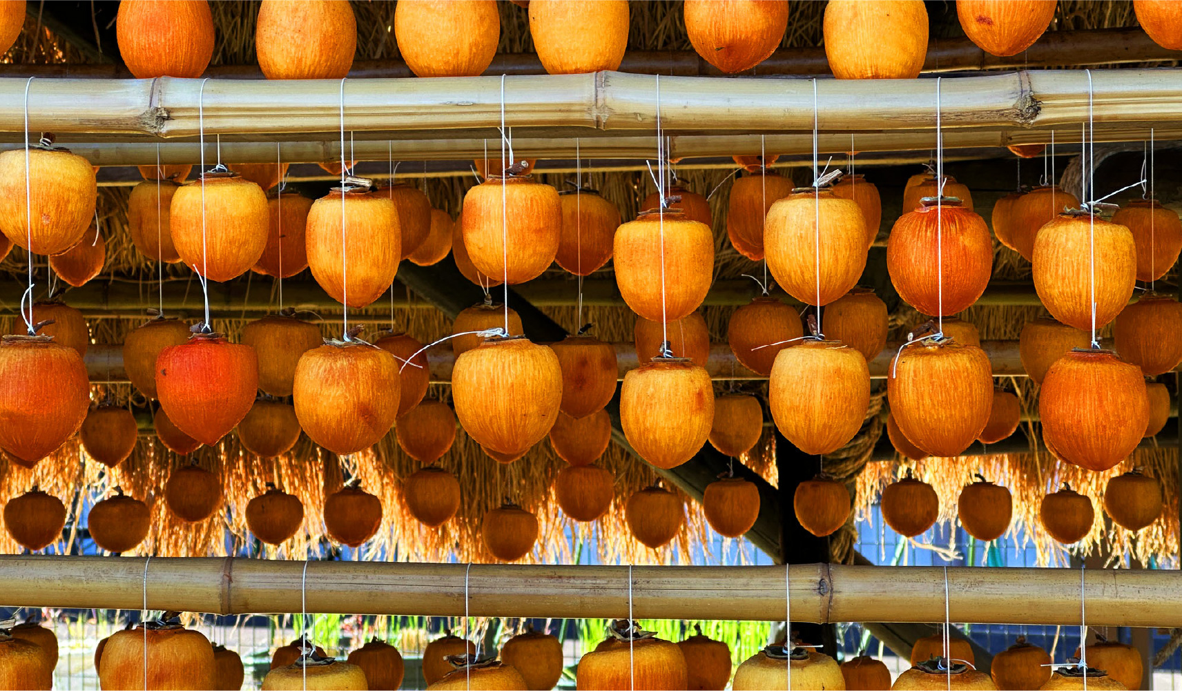 Produits & Aliments Uniques Régionaux