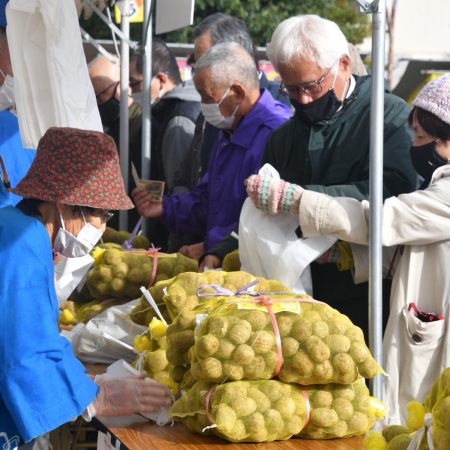 福野のごっつぉ里いもまつり